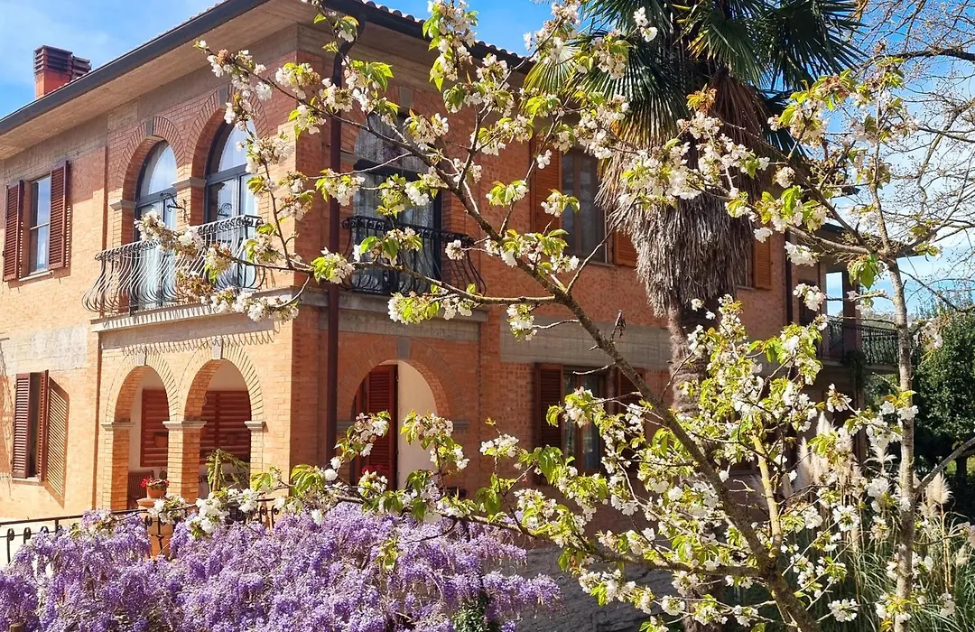San Francesco-1